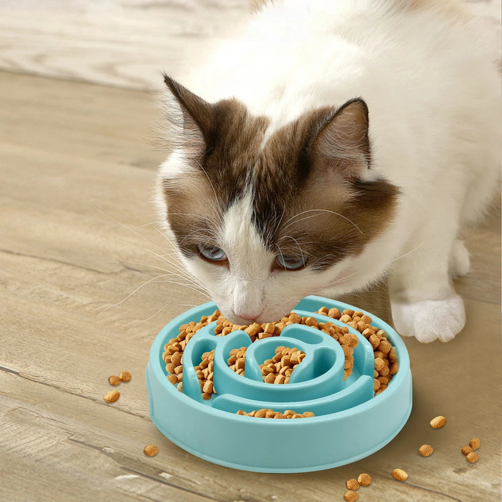 The Slow Bowl — Puzzle Feeder for Fast Eaters