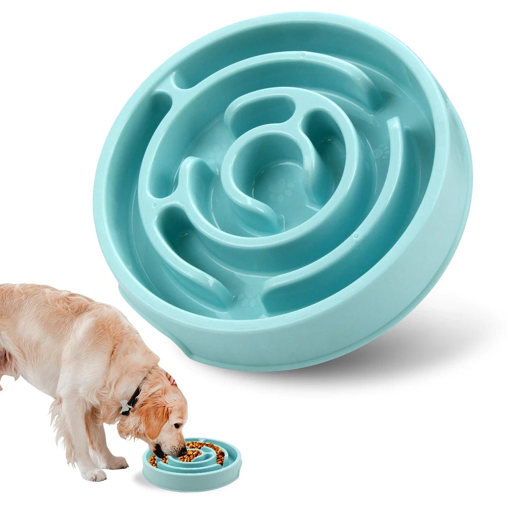 The Slow Bowl — Puzzle Feeder for Fast Eaters