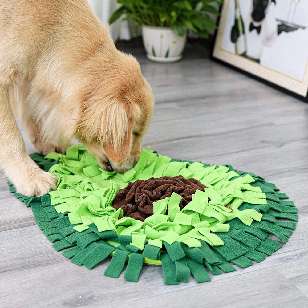 The Forage Mat — Snuffle Mat for Bored Dogs